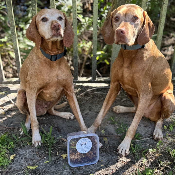 Paw-Friendly Granola